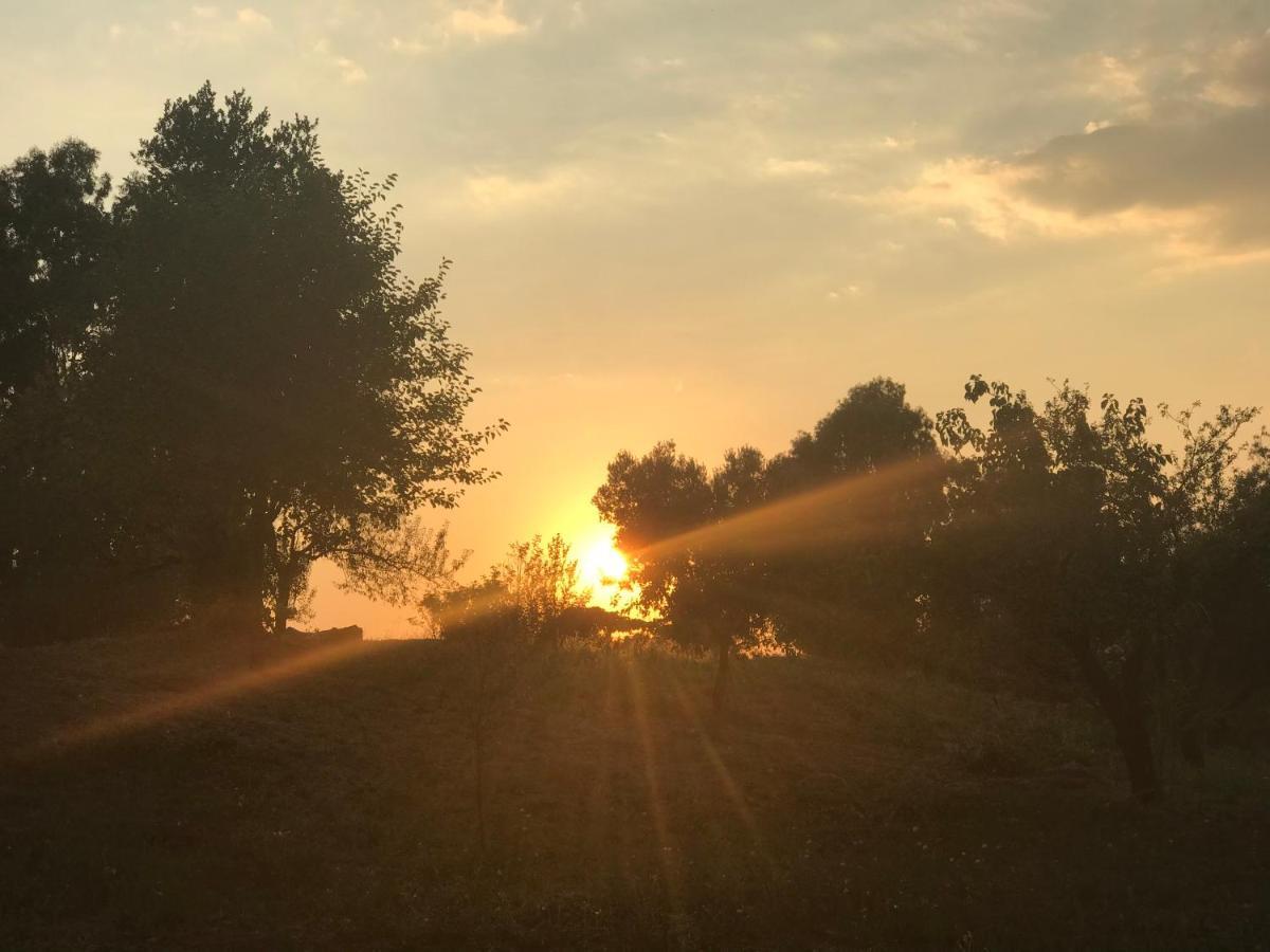 La Villetta Dei Sogni Nel Parco Roma Ngoại thất bức ảnh